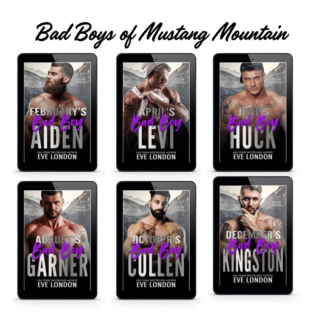 Bad Boys of Mustang Mountain E-book Bundle