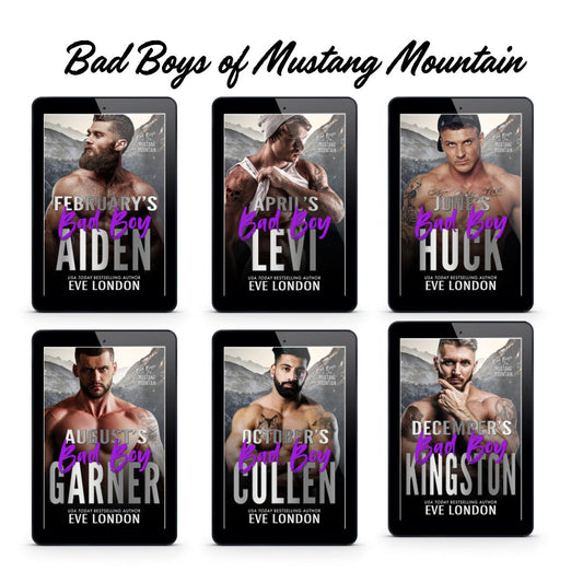 Bad Boys of Mustang Mountain E-book Bundle