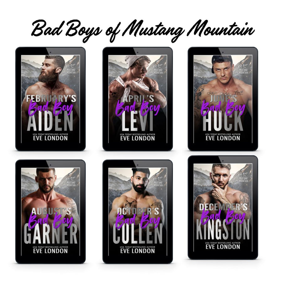 Bad Boys of Mustang Mountain E-book Bundle